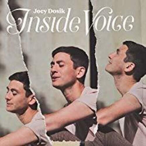 Joey Dosik: INSIDE VOICE ( RECORD )