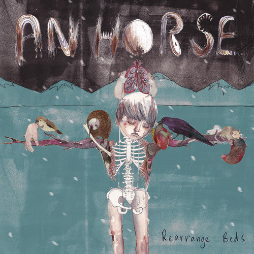 An Horse: Rearrange Beds ( RECORD )
