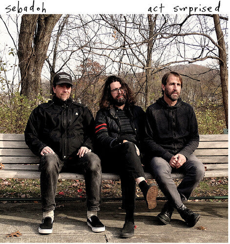 Sebadoh: Act Surprised ( RECORD )