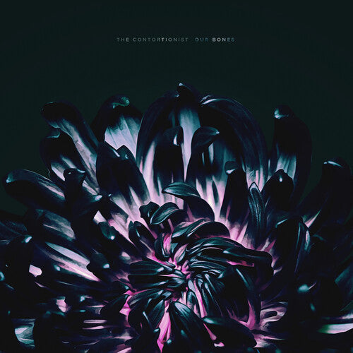 The Contortionist: Our Bones ( RECORD )