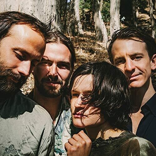 Big Thief: Two Hands ( RECORD )