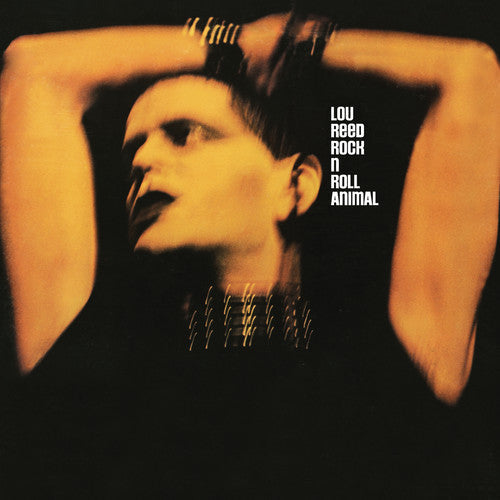 Lou Reed: Rock N Roll Animal ( RECORD )