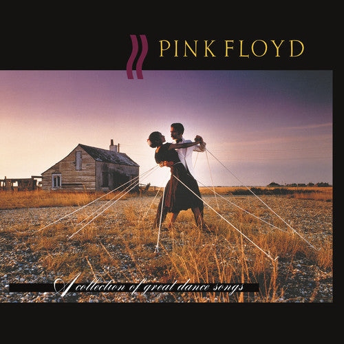 Pink Floyd: A Collection Of Great Dance Songs ( RECORD )