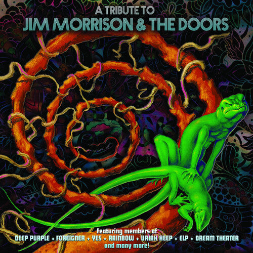 Various Artists: A Tribute To Jim Morrison & The Doors (Various Artists) ( RECORD )