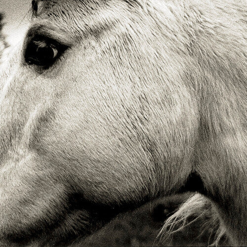 Bonny Light Horseman: Bonny Light Horseman ( RECORD )