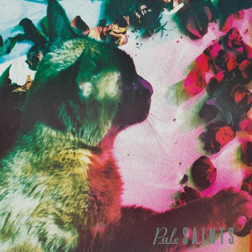 Pale Saints: Comforts Of Madness ( RECORD )