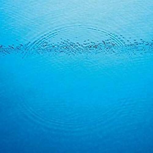 Caribou: Suddenly ( RECORD )
