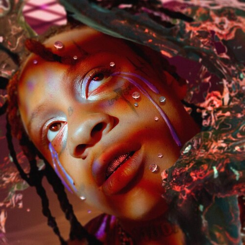 Trippie Redd: A Love Letter To You 4 ( RECORD )