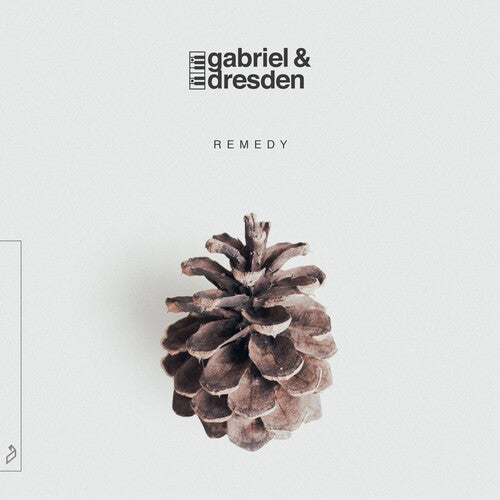 Gabriel & Dresden: Remedy ( RECORD )