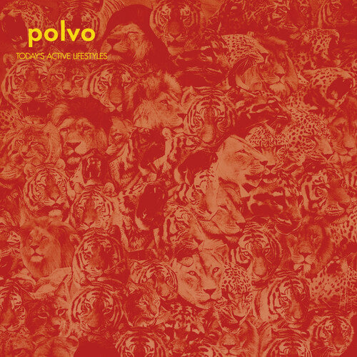 Polvo: Today's Active Lifestyles ( RECORD )