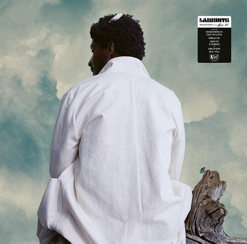 Labrinth: Imagination & The Misfit Kid ( RECORD )