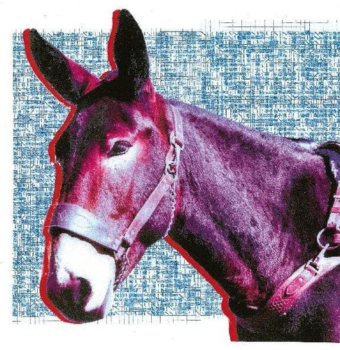 Protomartyr: Ultimate Success Today ( RECORD )