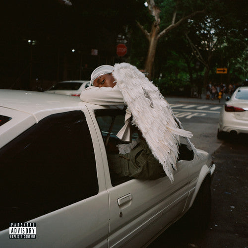 Blood Orange: Negro Swan ( RECORD )