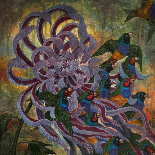 Covet: Technicolor ( RECORD )