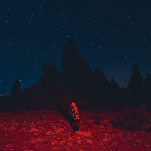 Phoebe Bridgers: Punisher ( RECORD )