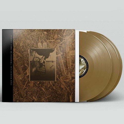 Pixies: Come On Pilgrim It's Surfer Rosa ( RECORD )