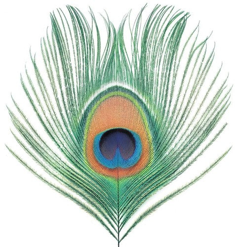 XTC: Apple Venus Vol 1 ( RECORD )