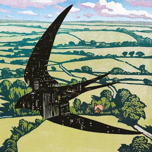 Bibio: Sleep On The Wing ( RECORD )