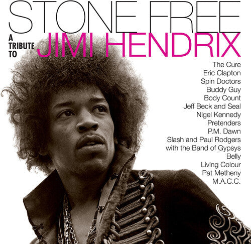 Jimmy Tribute Hendrix: Stone Free: Jimi Hendrix Tribute ( RECORD )