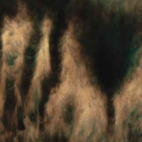 William Basinski: Lamentations ( RECORD )