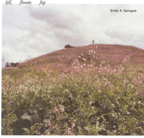 Emily a Sprague: Hill, Flower, Fog ( RECORD )