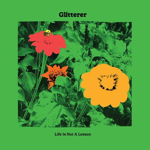 Glitterer: Life Is Not A Lesson ( RECORD )