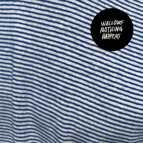 Wallows: Nothing Happens ( RECORD )