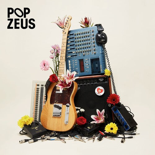 Pop Zeus: This Doesn't Feel Like Home (Unreleased Demos 2011-2014) ( RECORD )