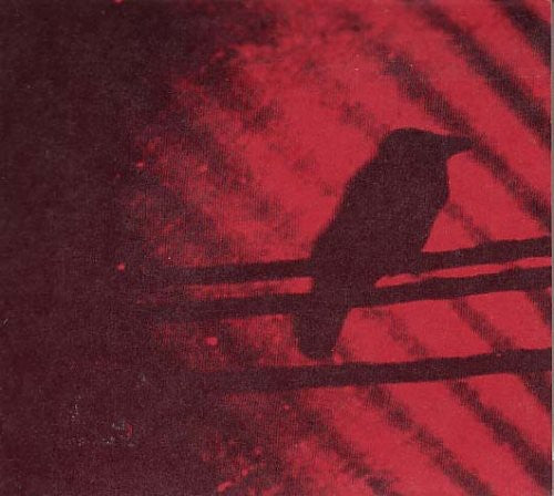 A Silver Mt. Zion: Born Into Trouble As the Sparks Fly Upward ( RECORD )