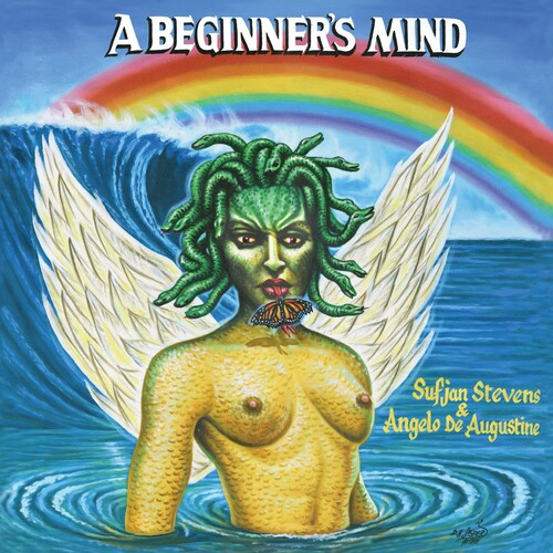 Sufjan Stevens: A Beginner's Mind ( RECORD )