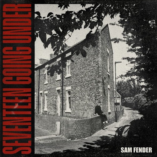 Sam Fender: Seventeen Going ( RECORD )