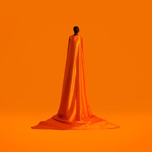 Wayne Snow: Figurine ( RECORD )