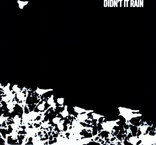 Songs: Ohia: Didn't It Rain ( RECORD )