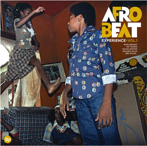 Afrobeat Experience: Vol 1 ( RECORD )