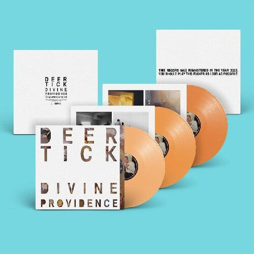 Deer Tick: Divine Providence ( RECORD )