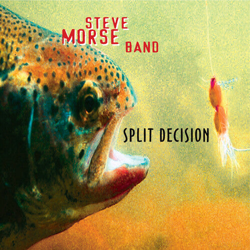 Steve Morse Band: Split Decision ( RECORD )