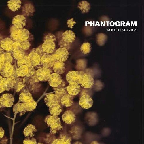 Phantogram: Eyelid Movies ( RECORD )