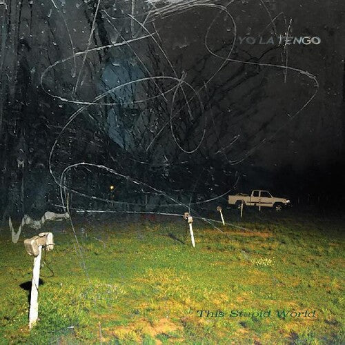 Yo La Tengo: This Stupid World ( RECORD )