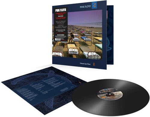 Pink Floyd: Momentary Lapse Of Reason ( RECORD )