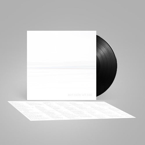 Foo Fighters: But Here We Are (Black Vinyl) ( RECORD )