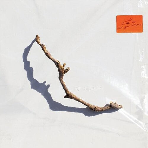 PJ Harvey: I Inside The Old Year Dying ( RECORD )