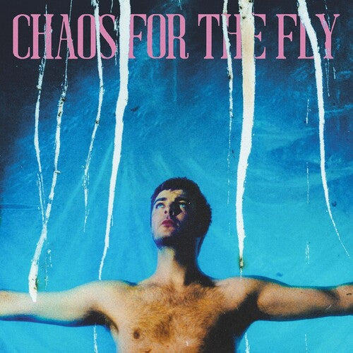 Grian Chatten: Chaos For The Fly ( RECORD )
