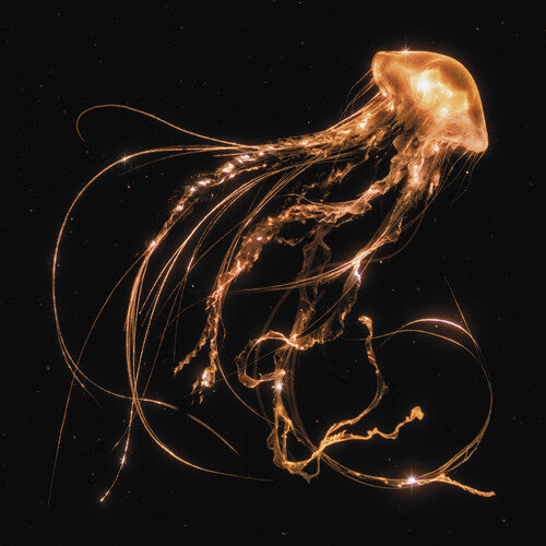 Royal Blood: Back To The Water Below ( RECORD )
