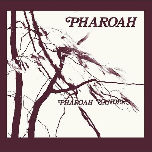 Pharoah Sanders: Pharoah ( RECORD )