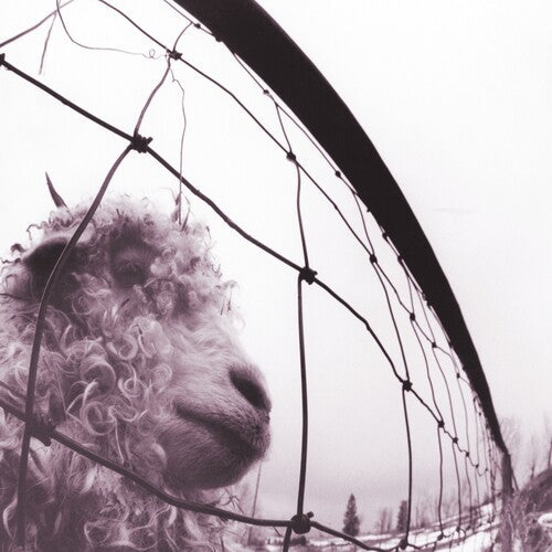 Pearl Jam: Vs. (30th Anniversary Edition) ( RECORD )