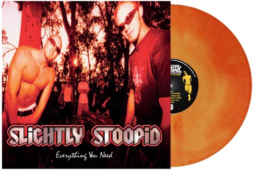 Slightly Stoopid: Everything You Need ( RECORD )