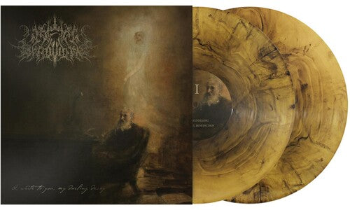Wake in Providence: I Write To You My Darling Decay ( RECORD )