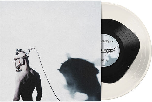 Void Of Vision: What I'll Leave Behind ( RECORD )