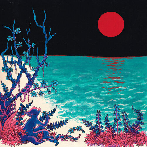 Glass Beach: The First Glass Beach Album - Silver ( RECORD )