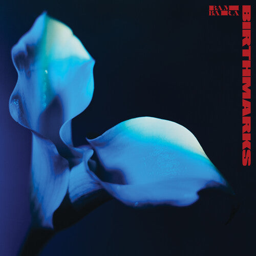 Bambara: Birthmarks ( RECORD )